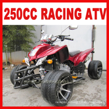 Топ 250cc гонки ATV ЕЭС (MC-365)